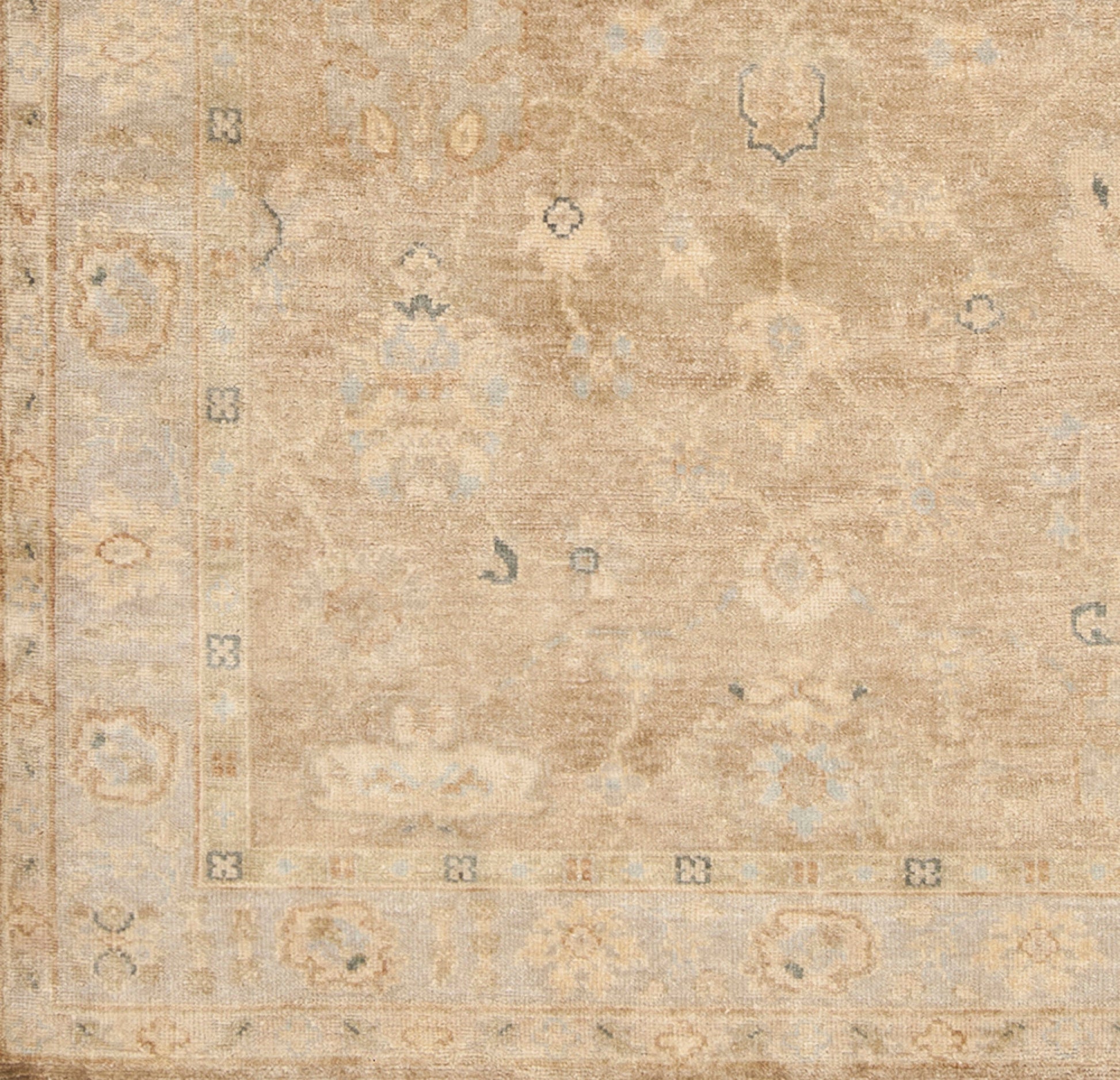 Transcendent TNS-9004 Hand Knotted Rug