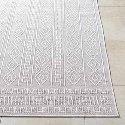 Terrace TRC-2310 2' x 3' Machine Woven Indoor/Outdoor Accent Rug
