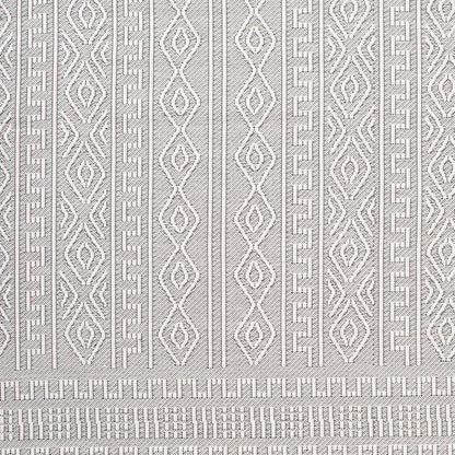 Terrace TRC-2310 2' x 3' Machine Woven Indoor/Outdoor Accent Rug