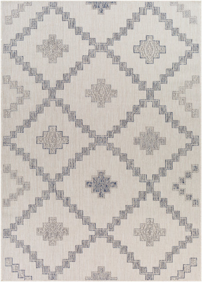 Tuareg TRG-2324 8' x 10' Machine Woven Indoor/Outdoor Area Rug