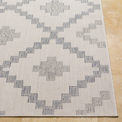 Tuareg TRG-2324 8' x 10' Machine Woven Indoor/Outdoor Area Rug