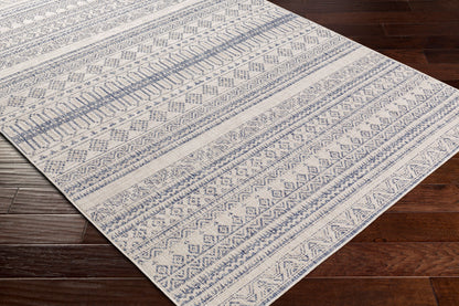 Tuareg TRG-2338 8' x 10' Machine Woven Indoor/Outdoor Area Rug