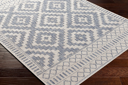 Tuareg TRG-2352 8' x 10' Machine Woven Indoor/Outdoor Area Rug