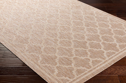 Tuareg TRG-2373 5' x 7' Machine Woven Indoor/Outdoor Area Rug