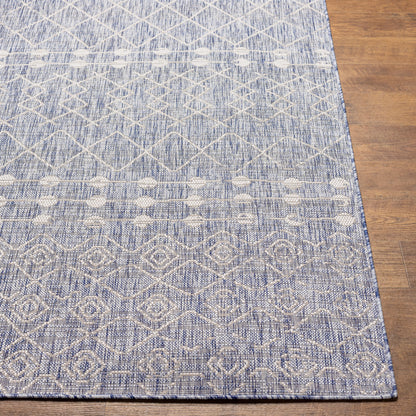 Tuareg TRG-2386 5' x 7' Machine Woven Indoor/Outdoor Area Rug