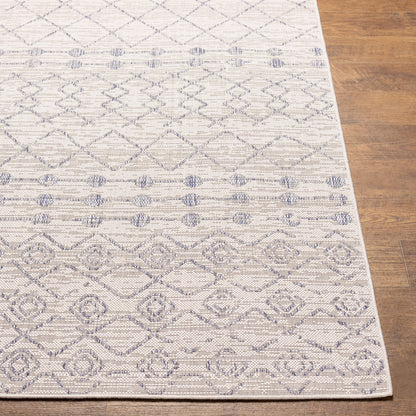 Tuareg TRG-2387 6' x 9' Machine Woven Indoor/Outdoor Area Rug