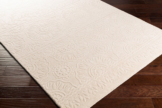 Taraash TRH-2301 2' x 3' Handmade Wool Accent Rug