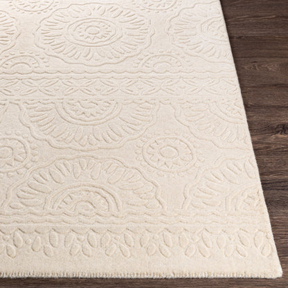 Taraash TRH-2301 2' x 3' Handmade Wool Accent Rug