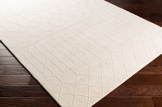Taraash TRH-2303 2' x 3' Handmade Wool Accent Rug