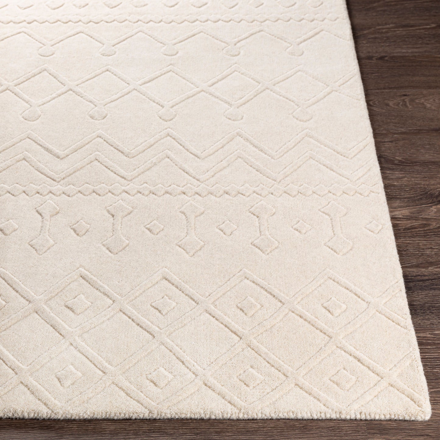 Taraash TRH-2303 2' x 3' Handmade Wool Accent Rug