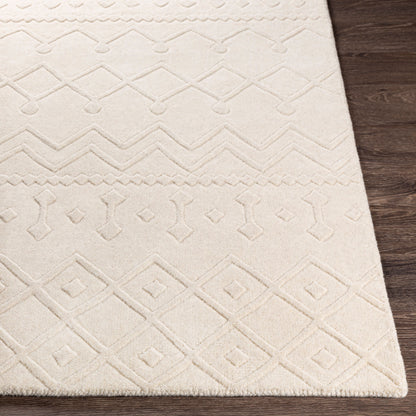 Taraash TRH-2303 2' x 3' Handmade Wool Accent Rug