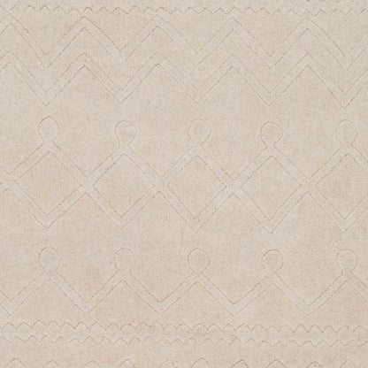 Taraash TRH-2303 2' x 3' Handmade Wool Accent Rug