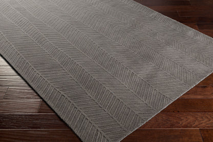 Taraash TRH-2304 2' x 3' Handmade Wool Accent Rug