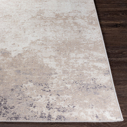 Alfombra decorativa tejida a máquina Costa Mesa TSA-1002 de 2' x 4'