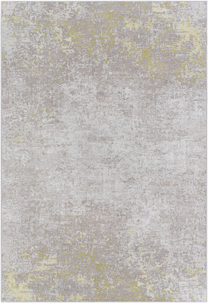 Alfombra decorativa tejida a máquina Costa Mesa TSA-1003 de 2' x 4'