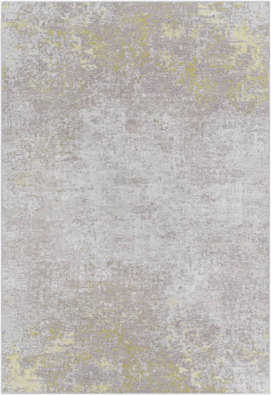 Alfombra decorativa tejida a máquina Costa Mesa TSA-1003 de 2' x 4'