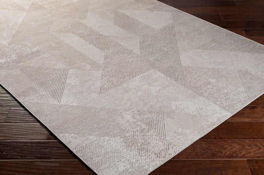 Costa Mesa TSA-1005 2' x 4' Machine Woven Accent Rug