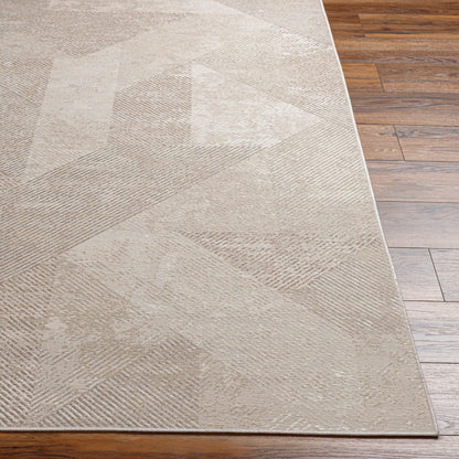 Costa Mesa TSA-1005 2' x 4' Machine Woven Accent Rug