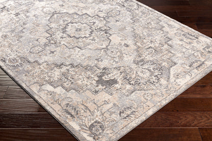 Tuscany TUS-2321 2' x 3' Machine Woven Accent Rug