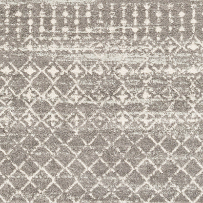 Tevazu TVZ-2380 8' x 10' Machine Woven Area Rug