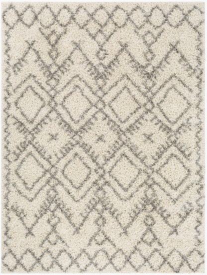 Taza Shag TZS-2326 5' x 7' Machine Woven Area Rug