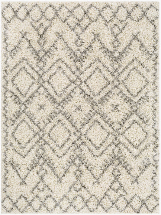 Taza Shag TZS-2326 5' x 7' Machine Woven Area Rug