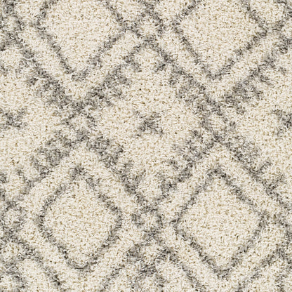 Taza Shag TZS-2326 5' x 7' Machine Woven Area Rug