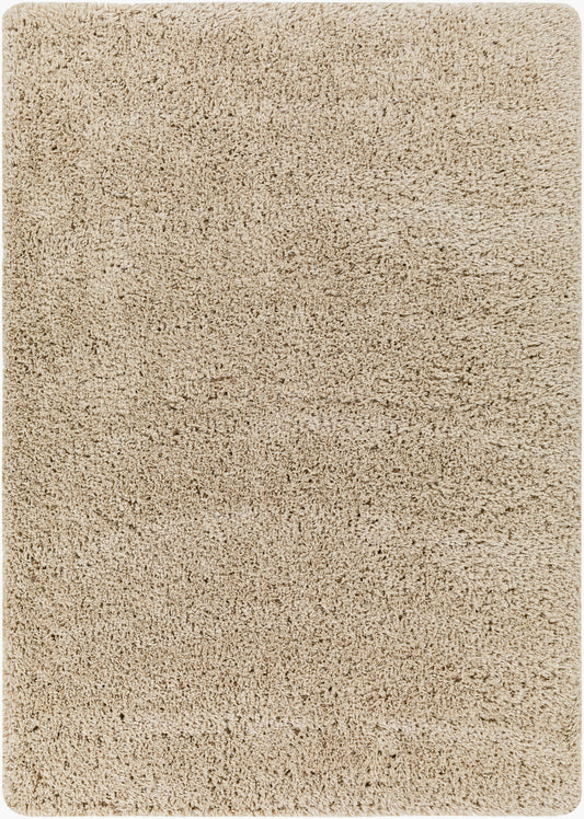 Verde VDE-2301 5' x 7' Machine Woven Area Rug