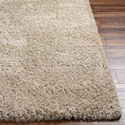 Verde VDE-2301 5' x 7' Machine Woven Area Rug