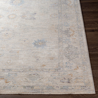 Virginia VGN-2301 2' x 4' Machine Woven Accent Rug