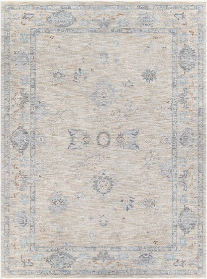 Virginia VGN-2302 2' x 4' Machine Woven Accent Rug