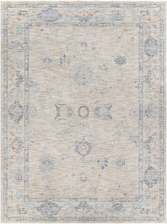 Virginia VGN-2302 2' x 4' Machine Woven Accent Rug