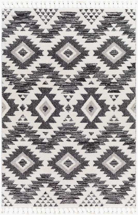 Valencia VLC-2306 5' x 7' Machine Woven Area Rug