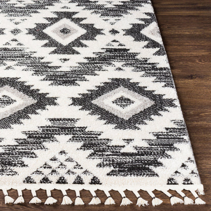 Valencia VLC-2306 5' x 7' Machine Woven Area Rug
