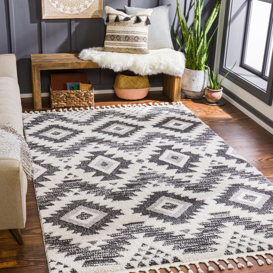 Valencia VLC-2306 5' x 7' Machine Woven Area Rug