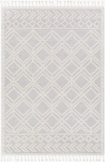 Valencia VLC-2315 2' x 3' Machine Woven Accent Rug