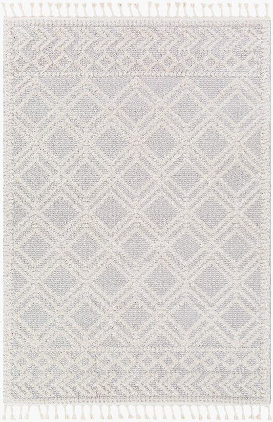 Valencia VLC-2315 2' x 3' Machine Woven Accent Rug