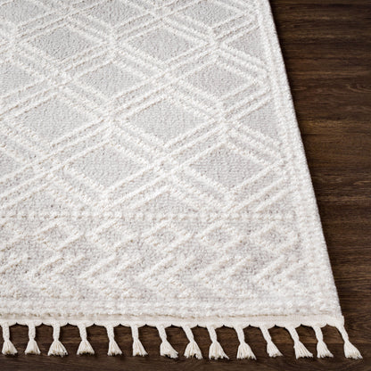 Valencia VLC-2315 2' x 3' Machine Woven Accent Rug