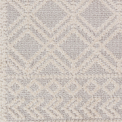 Valencia VLC-2315 2' x 3' Machine Woven Accent Rug