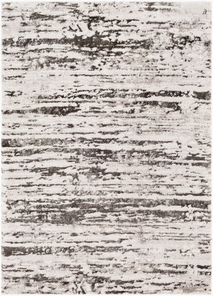 Venice VNE-2301 5' x 7' Machine Woven Area Rug