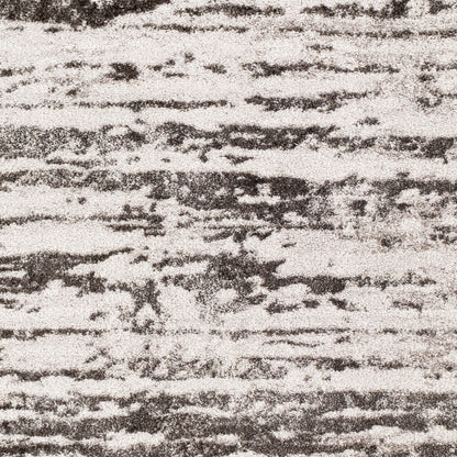 Venice VNE-2301 2' x 3' Machine Woven Accent Rug