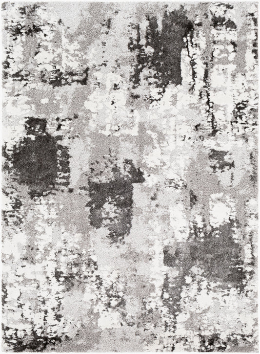 Venice VNE-2308 3' x 5' Machine Woven Accent Rug