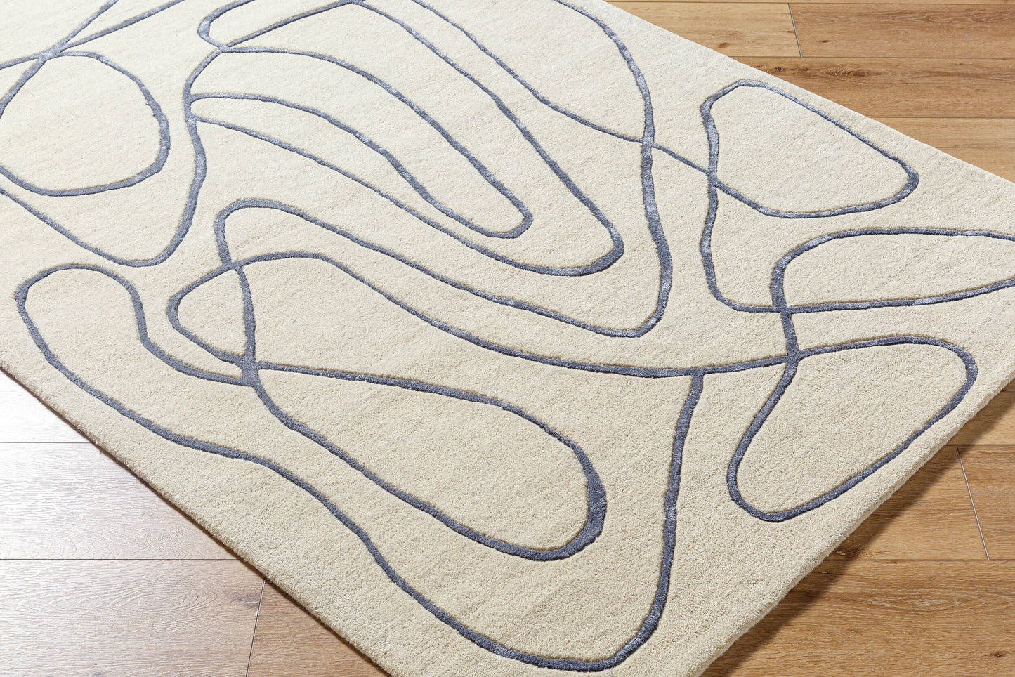 Vilnius VNS-2302 2' x 3' Handmade Accent Rug