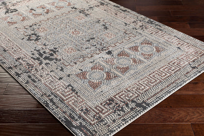 Venezia VNZ-2301 2' x 3' Machine Woven Accent Rug