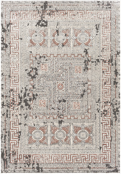 Venezia VNZ-2301 2' x 3' Machine Woven Accent Rug