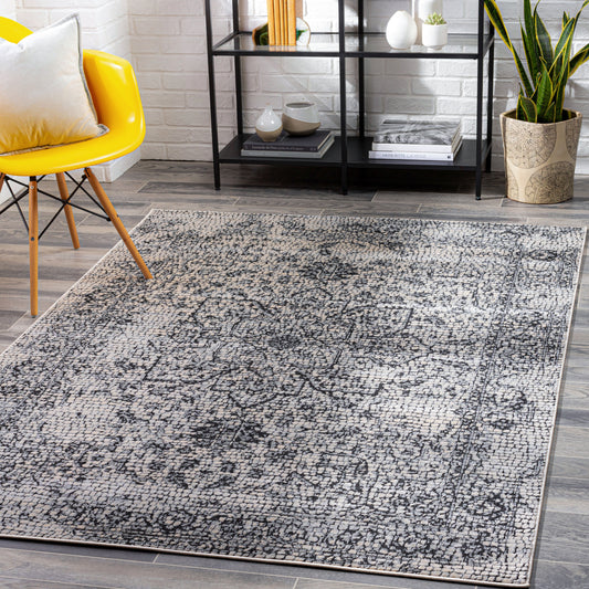 Venezia VNZ-2309 2' x 3' Machine Woven Accent Rug