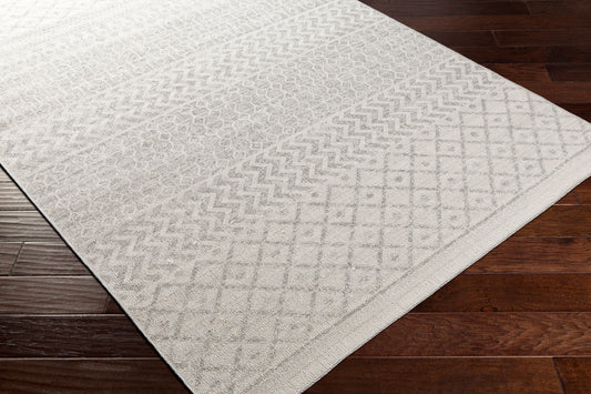 Veranda VRD-2304 2' x 3' Machine Woven Indoor/Outdoor Accent Rug