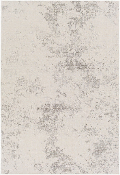 Veranda VRD-2316 2' x 3' Machine Woven Indoor/Outdoor Accent Rug