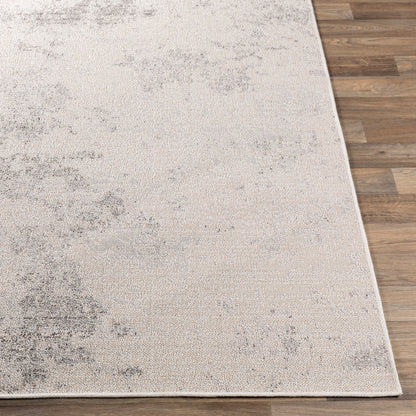 Veranda VRD-2316 2' x 3' Machine Woven Indoor/Outdoor Accent Rug