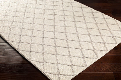 Whistler WSR-2300 2' x 3' Handmade Accent Rug